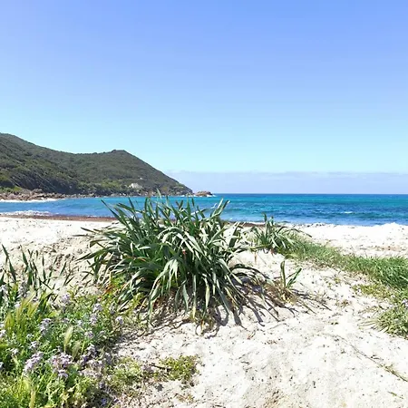 Ecological House With Solar Electricity Holiday home Ajaccio (Corsica)