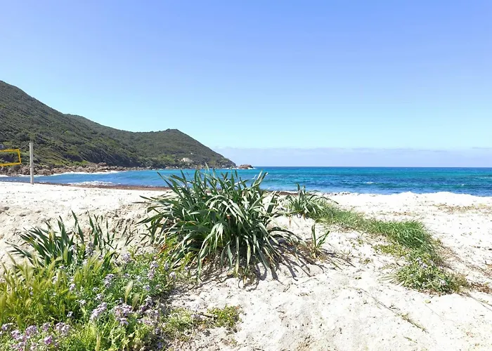 Ecological House With Solar Electricity Holiday home Ajaccio (Corsica)